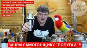 ПОПУГАЙ - САМАЯ УДОБНАЯ ШТУКА ДЛЯ САМОГОНЩИКА. Попугай для самогонного аппарата #попугай #самогон