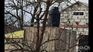 Обрезка деревьев
Весенние работы в саду