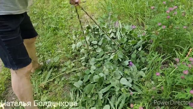 Дорвались и заболели》Хани что то видит..》Как пережили аномалию смотреть онлайн