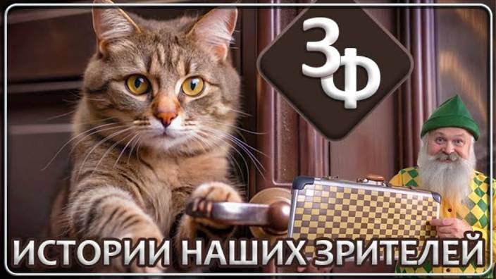 199 Немного страшные и одна смешная, истории наших зрителей смотреть онлайн