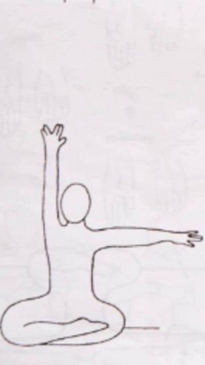 Медитация (мантра) Хар, Харей, Хари, Вахе Гуру
Левая вверх, правая в бок (Л1)