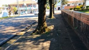 Прогулка по парку город Хоэнау Парагвай. park Hohenau Paraguay. 1 Августа 2023. #paraguay