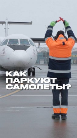 Как паркуют самолеты?

Полный выпуск смотрите на канале "Раскадровка"