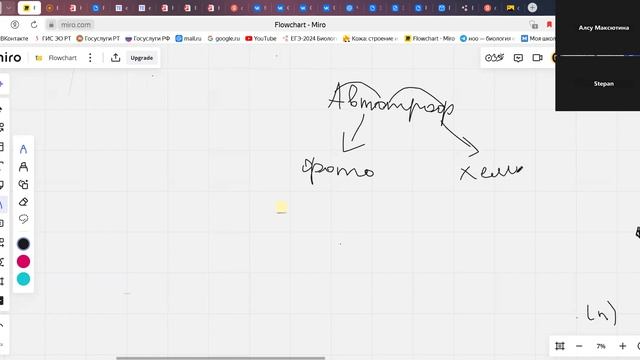 BioTeach Начало разбора фотосинтеза