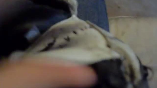 Why osiris suck!!!!!!! смотреть онлайн