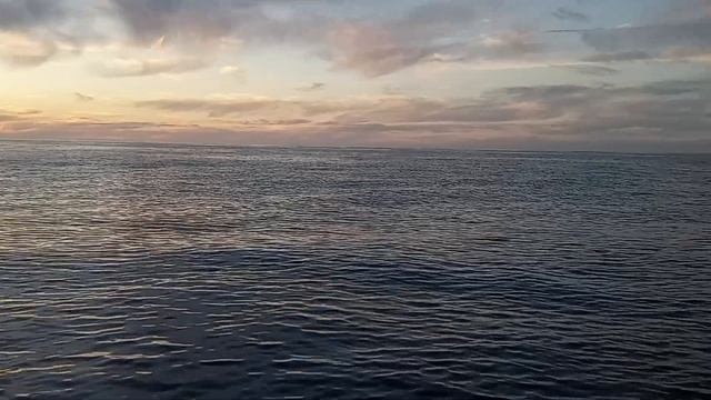 Aboard the Fortune . Tuna fishing смотреть онлайн