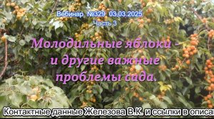 Железов Валерий. Вебинар 329. ч.3. Молодильные яблоки - и другие важные проблемы сада.