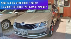 ‼️Россия скупает все автомобили в Китае! Опустевший авторынок в Китае! г. Харбин! Это все, что есть