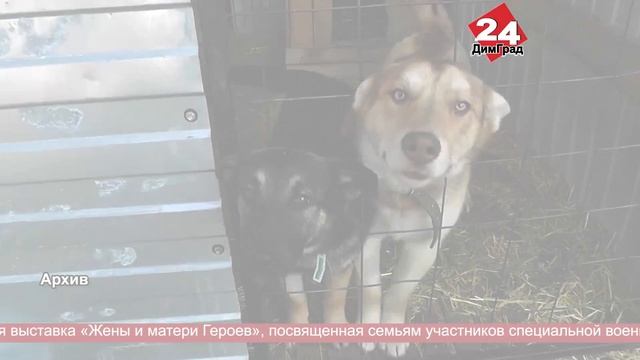 Главные новости любимого города. 04.03.2025