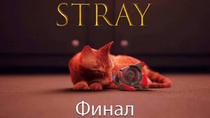 Stray/Бездомный - Финал- Прохождение игры часть 11