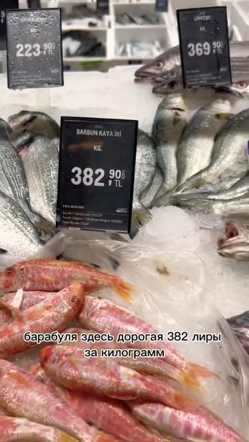 Безумные цены на морепродукты в Турции! #проаланьюинетолько #shorts