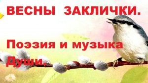 ВЕСНЫ  ЗАКЛИЧКИ. Автор стихотворения и видео А. Соколов. Музыка А. Вивальди ВЕСНА ПРИШЛА.