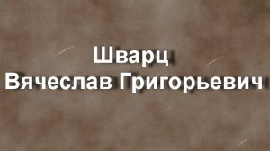 Шварц Вячеслав Григорьевич биография работы