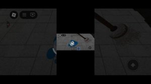 рб с Камилем