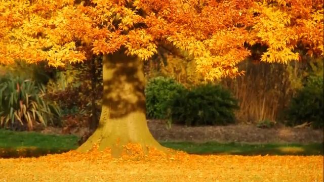 Осень пришла смотреть онлайн