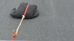 Raptor Hoodie Destruction Test