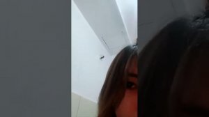 sexy girl live show