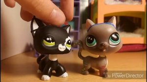 Lps: обзор коллекции Lps, часть 1