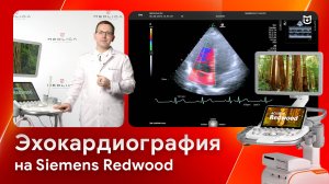 Плановая эхокардиография на Siemens Acuson Redwood