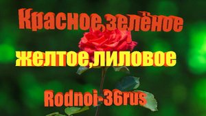 В.С.Высоцкий "Красное, зелёное..."