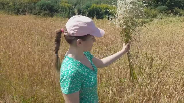 КАК МЫ ПЧЁЛ ЛОВИЛИ  2024 #рой #пчеловодство #пчелы #хобби #ловушки
