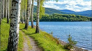 Жизненная история как такса и сдача научили меня жизни и совести...