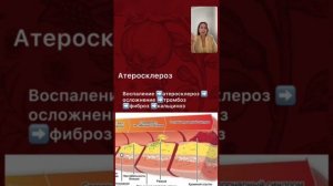 ТЕСТОСТЕРОН и женские болезни