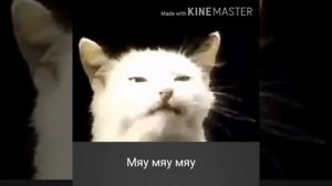 Meow Mix Commercial russian