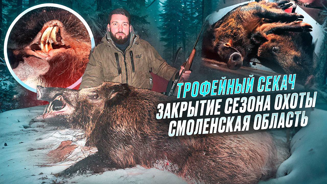 ТРОФЕЙНЫЙ СЕКАЧ