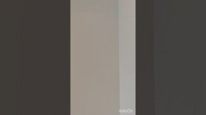 1. Апартаменты "Променад" г.Светлогорск, однокомнатная.