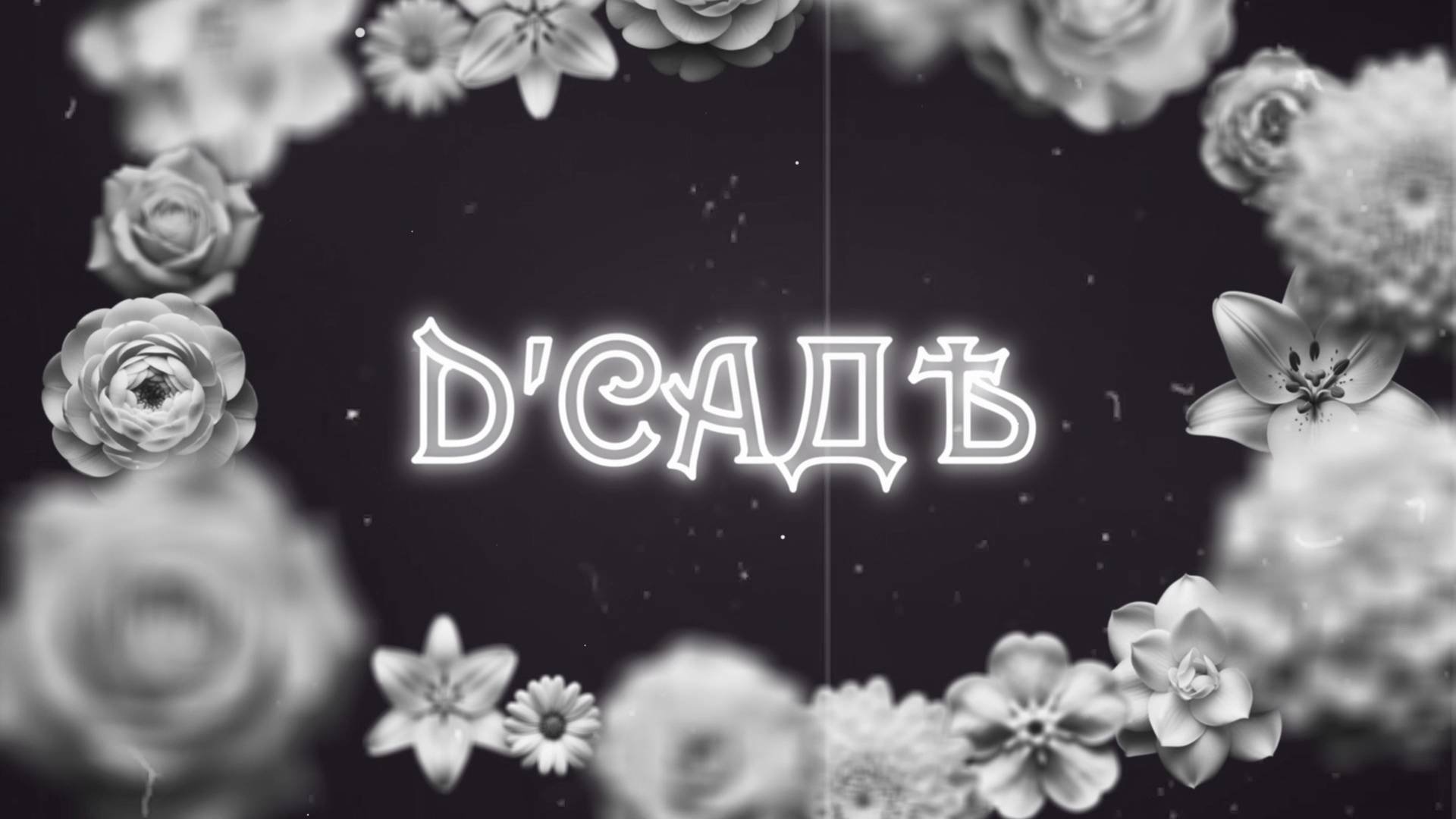 D'САДѢ, зима 2025, #Тамбов, #VHSvideo