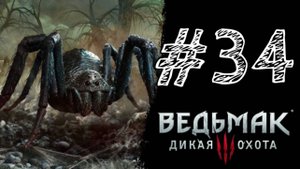 ПАУКИ! Прохождение #34 - The Witcher 3: Wild Hunt.