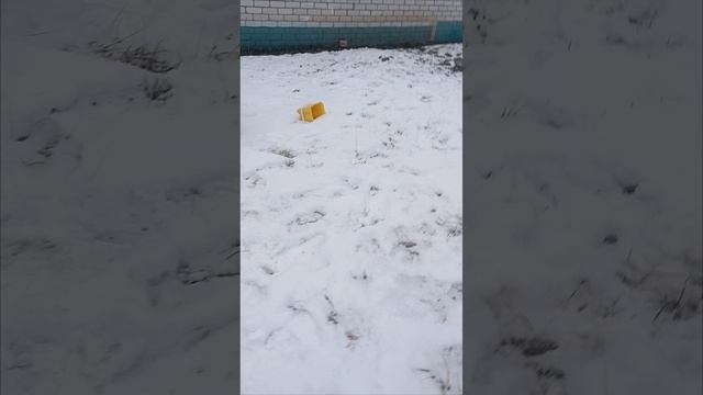 Поймаю смотреть онлайн