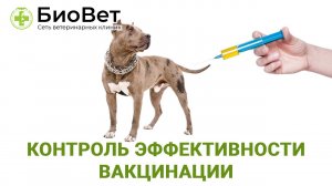 Контроль эффективности вакцинации