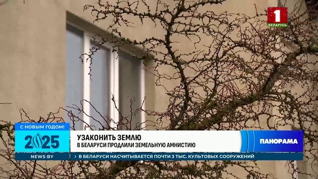 Земельная амнистия в Беларуси: как легализовать самовольно занятые участки? Панорама