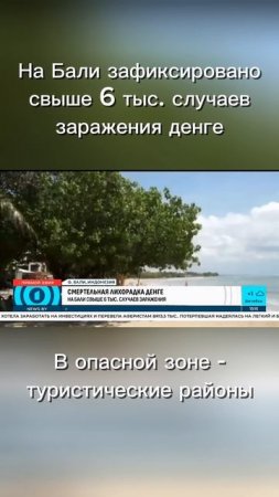 На Бали зафиксировано свыше 6 тыс. случаев заражения денге. В опасной зоне - туристические районы