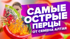 ОСТРЫЕ ПЕРЦЫ от Семена Алтая