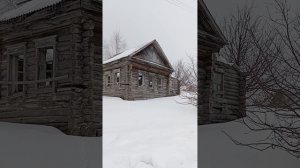 Редкая Берëза. Март-2025