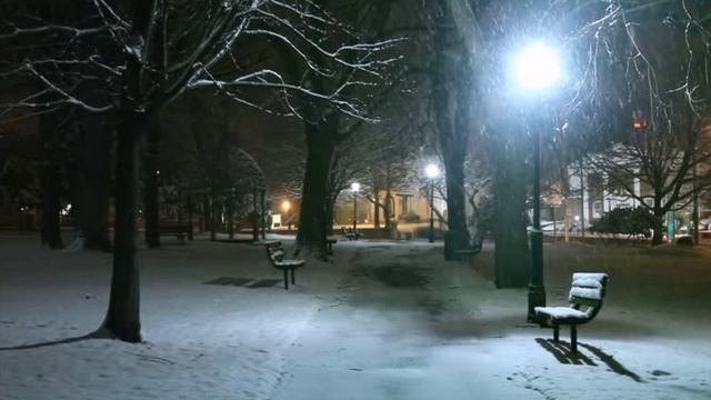 Февральская бессонница