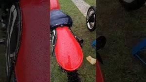 обзор Минск ёжик