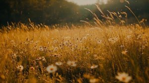 Уйти красиво...