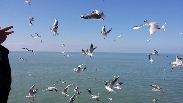 Природа