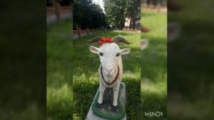 Как поедем в колхоз