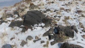 фотоловушка в зимних горах