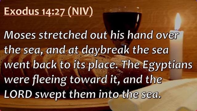 MAIN SERVICE || SOLID ROCK FREE AREA смотреть онлайн