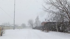 Зима не хочет сдаваться (утро 4.03.25)