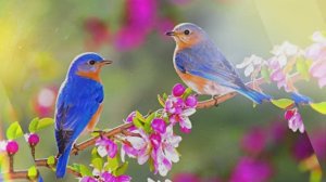 ПРОБУЖДЕНИЕ ВЕСНЫ /Андрей Обидин/