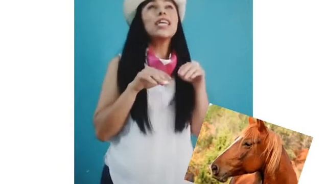 In The Farm with Melissa смотреть онлайн