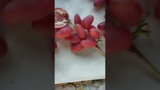 Фреш мускат(555),Вивальди,Медея,ягода в разрезе 9 августа. Виноградник Щереденкова В.А.mp4