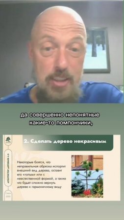 Страхи при обрезке деревьев. Часть 2
